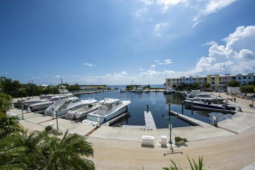 Licensed Mgr - Modern 3/3.5 Villa - Key Largo'S Most Upscale Oceanfront Resort! Esterno foto